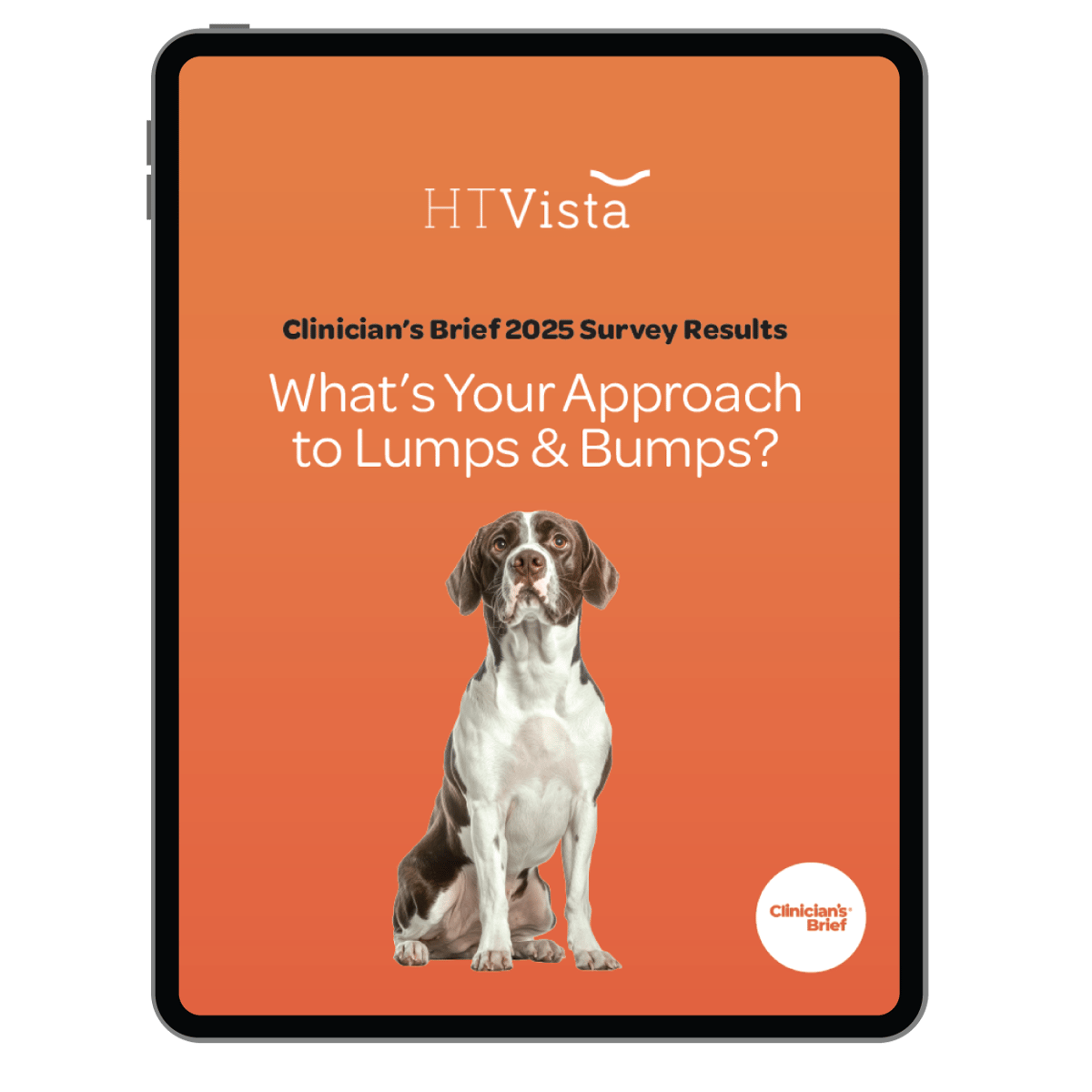 Download | What's Your Approach to Lumps and Bumps Survey Results